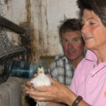 Preparing the pheasants at Holway Farm