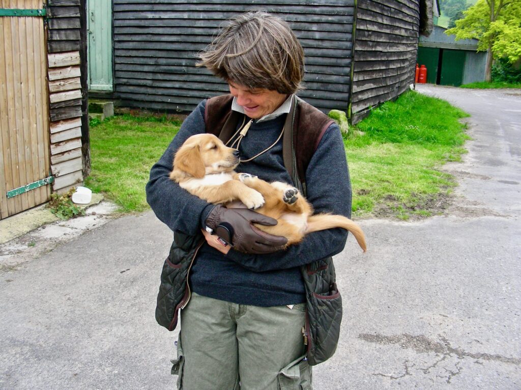 Kipper at Knowle Farm